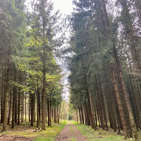 Haus Elise Ferienhaus Kirchheim (Hessen)