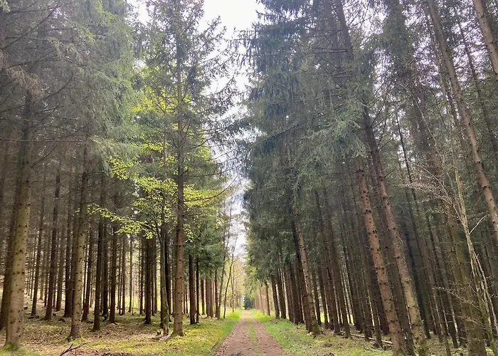 Haus Elise Semesterbostad Kirchheim (Hessen)